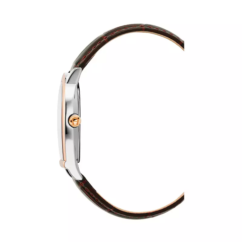 Jam Tangan Pria AIGNER Molise Gents AGW.278004.C