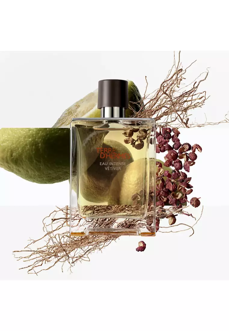 Buy Hermès Hermes - Terre D'Hermes Eau Intense Vetiver Eau De