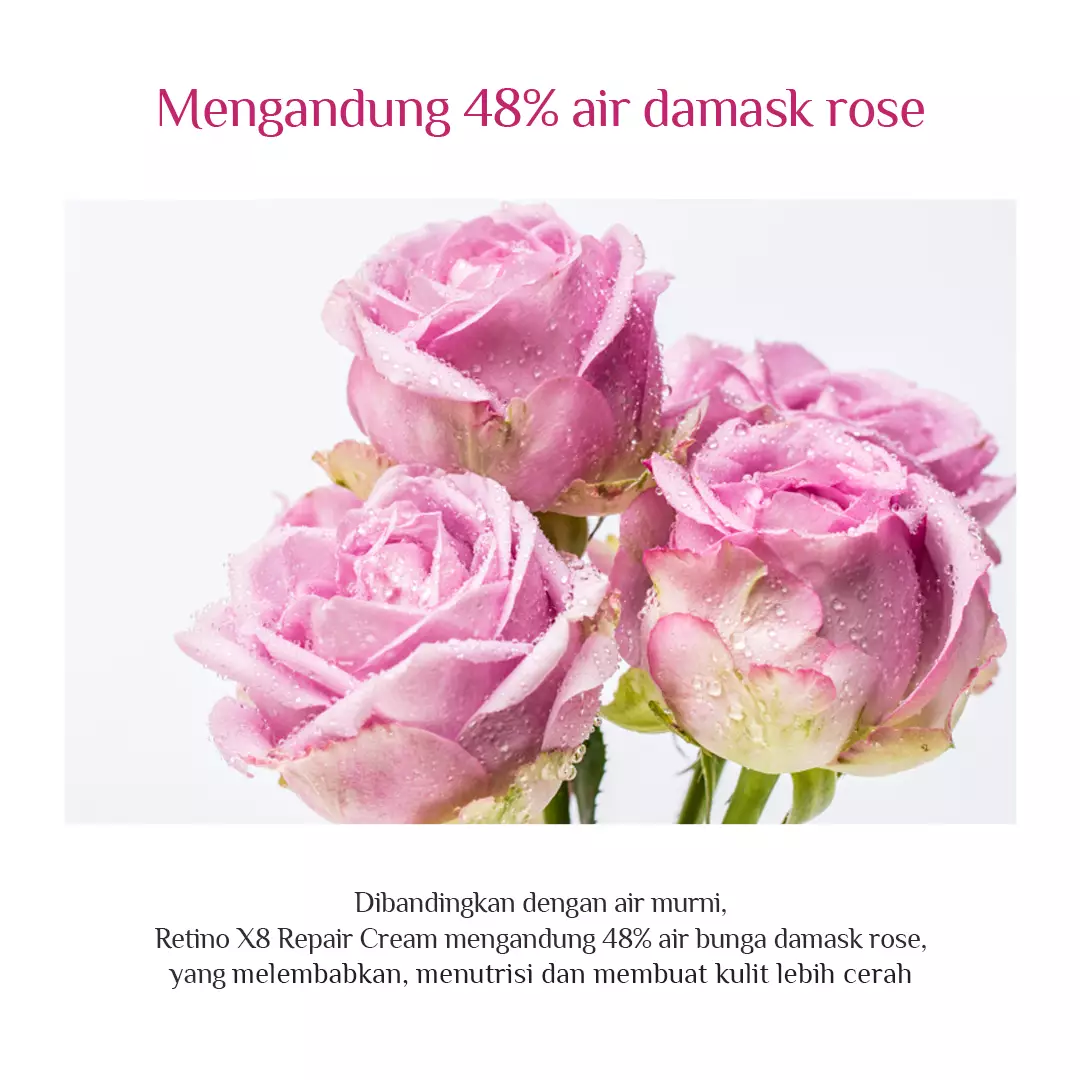 Holika Holika Enprani Retino X8 Pro Deep Wrinkle Repair Cream - Pelembab Anti Aging