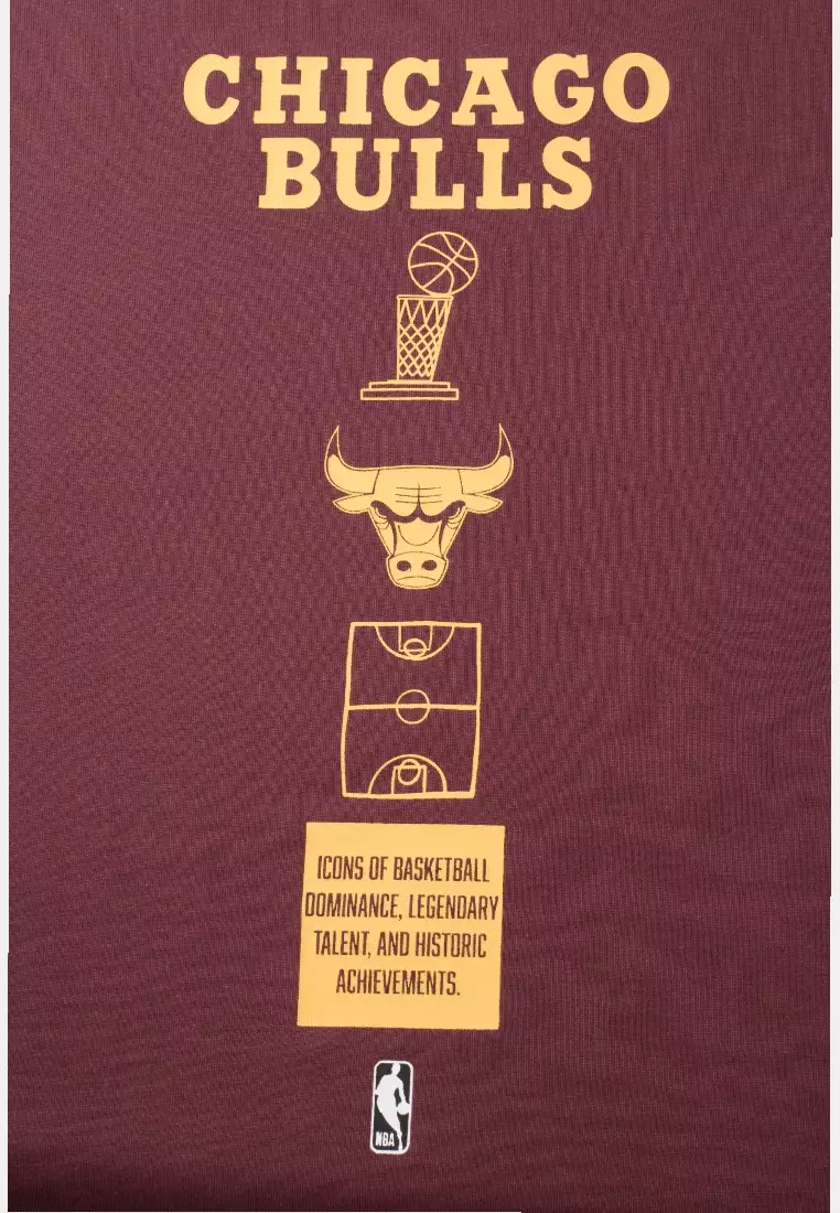 Chicago Bulls T-Shirt for Men Urban Lines Collection