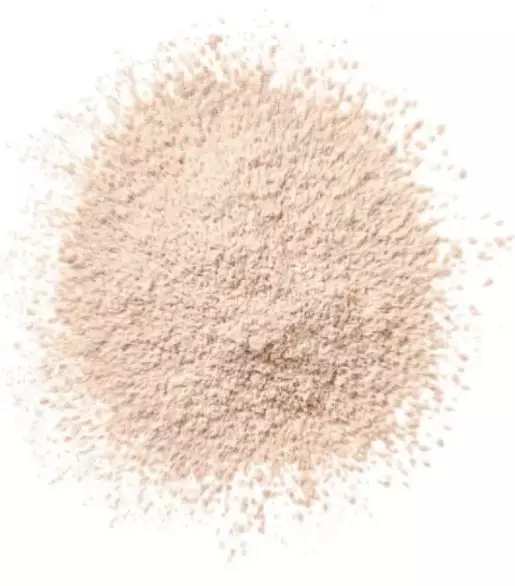 CLINIQUE Blended Loose Setting Face Powder • 25g - Transparency Neutral