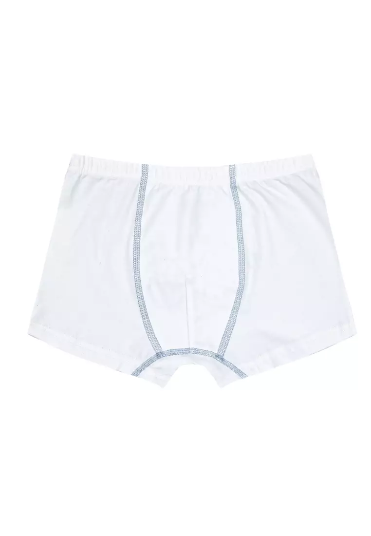 Buy Biofresh Biofresh Boys' Antimicrobial Cotton Boxer Briefs 3 Pieces In A  Pack UCBBG4103 2024 Online
