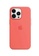 Blackbox Apple Silicone Case Iphone 11 Pro Coral 0A71FES8D32FBBGS_1