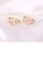 Glamorousky white 925 Sterling Silver Plated Gold Fashion Elegant Geometric Stud Earrings with Cubic Zirconia B9FC3ACA83EE55GS_4