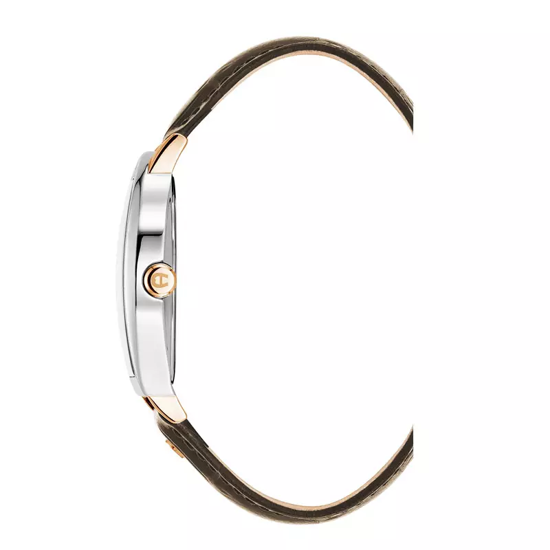 Jam Tangan Pria AIGNER Daiano AGW.269004