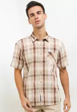 Light Brown