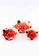 Newage Newage 3 Pcs Acrylic Fruit Plate / Fruit Tray / Serving Tray / Tray Set / Tray Plastic - Red Roses / Brown Roses / Pink Roses 86F62HLD62FC5FGS_1