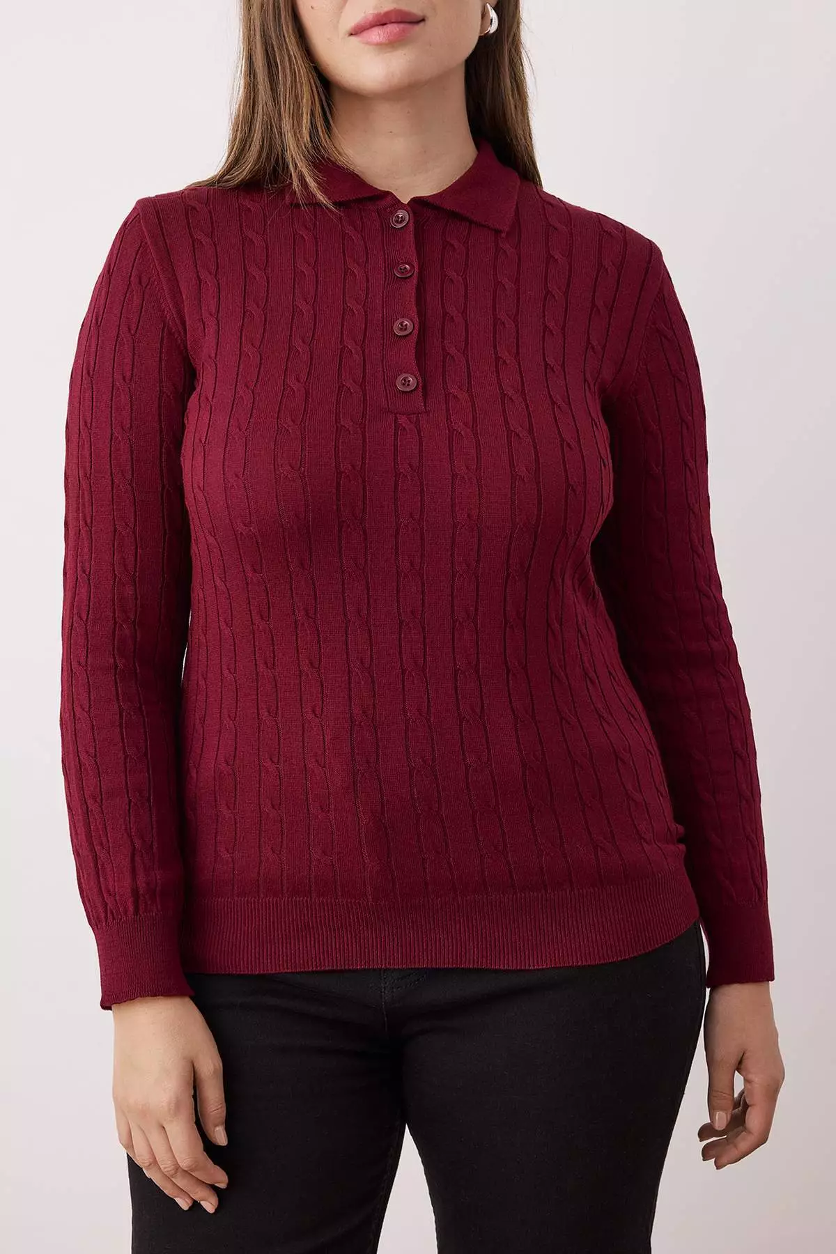 Dark Cherry Polo Collar Hair Knit Thin Knit Blouse