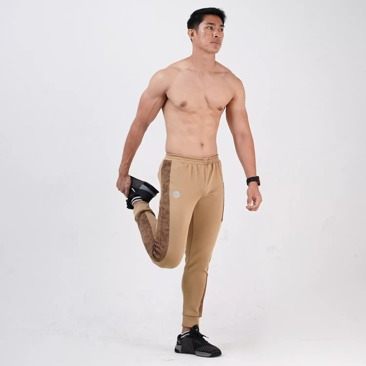 Jogger Pants Camo series Tan