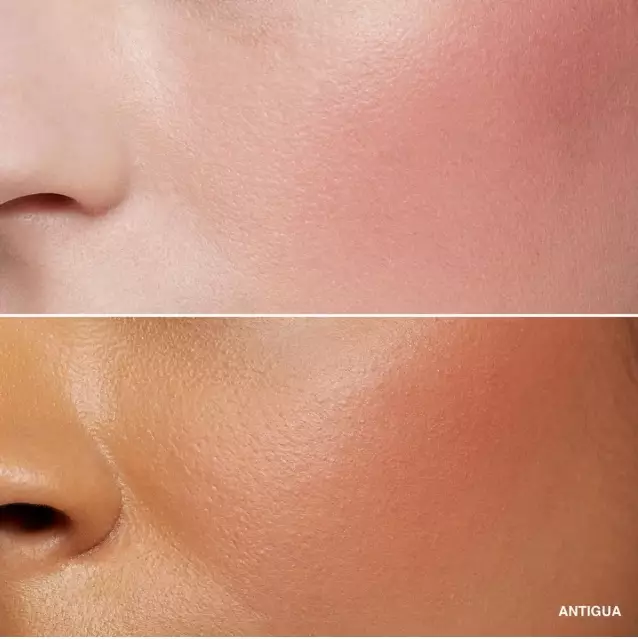 Bobbi Brown Blush • 3.7g - Antigua