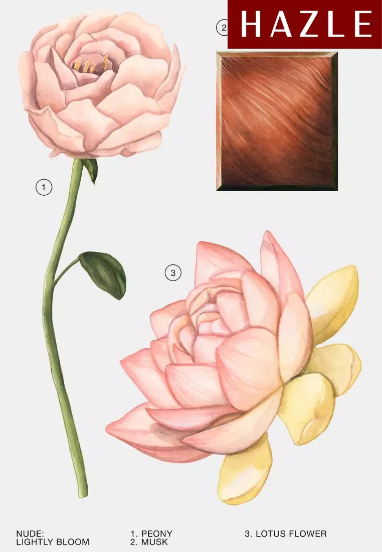 Zara Lightly Bloom Woman EDP 30 ml