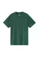 Hemlock Green