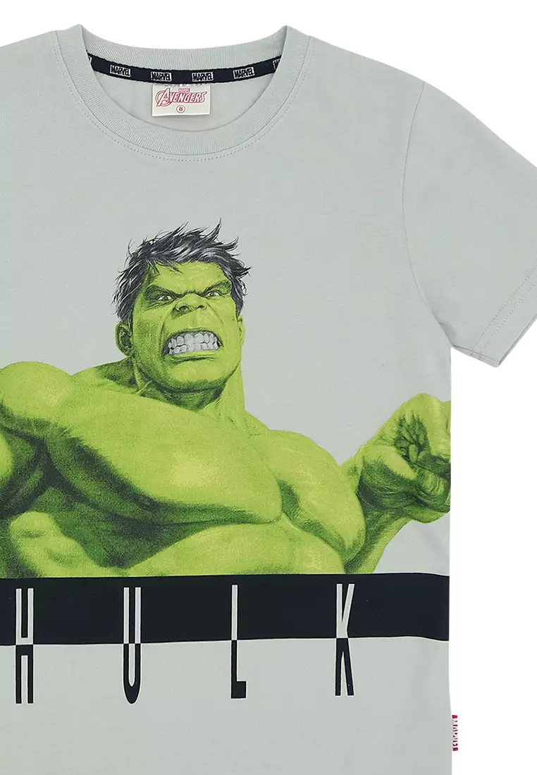 Boys Licensed Graphic T-Shirt The Hulk Sketch