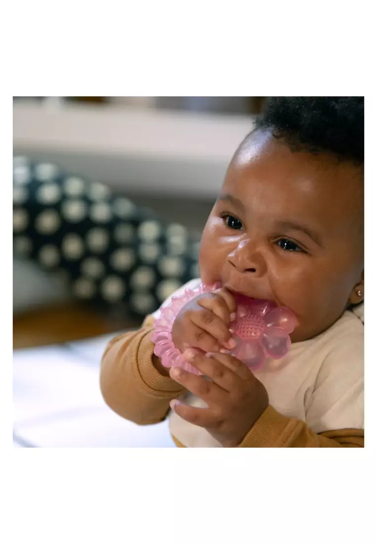 Ingenuity Cool Bite Water Teether Daisy