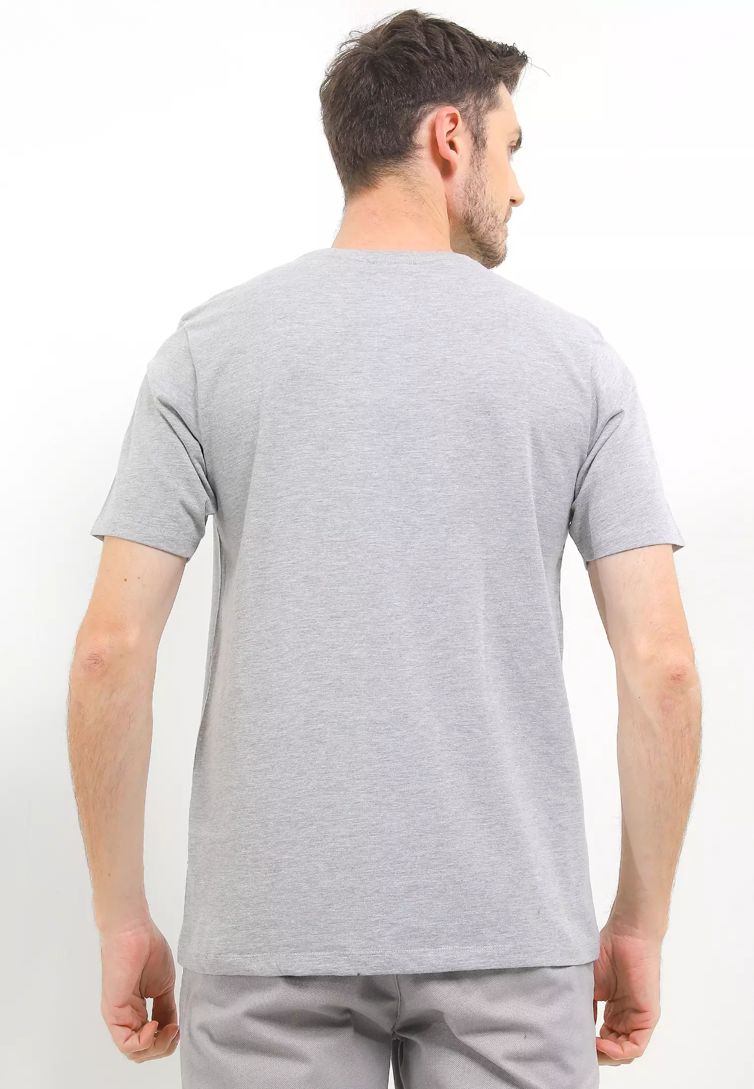 Cressida Regular Fit Graphic T-Shirt B010A - Grey