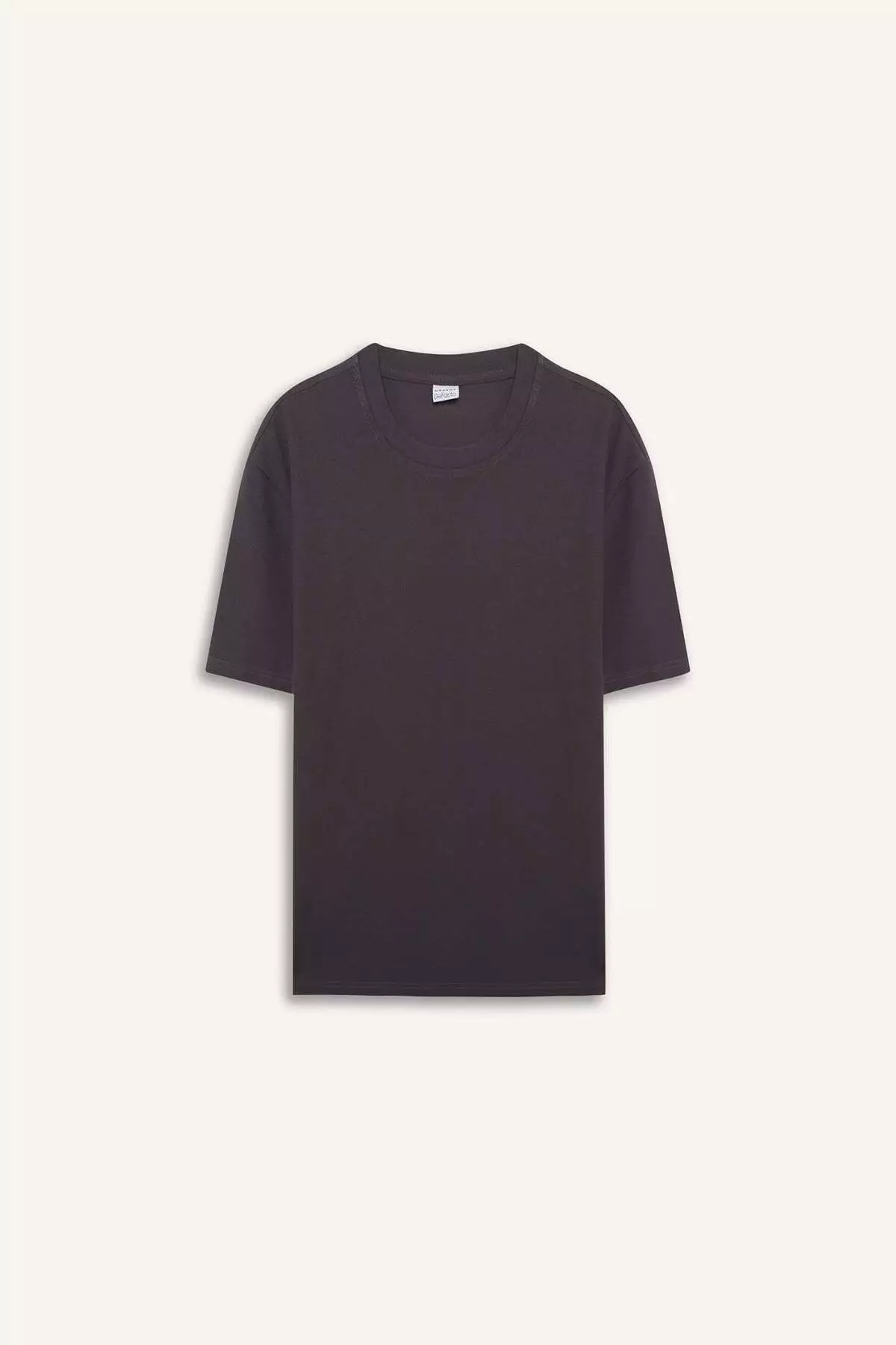 100% Cotton Regular Fit Crew Neck Short Sleeve Heavy Fabric T-Shirt E2589Ax25Sm