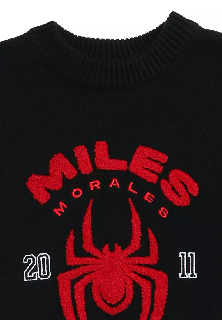 Licensed Knit Pull Over