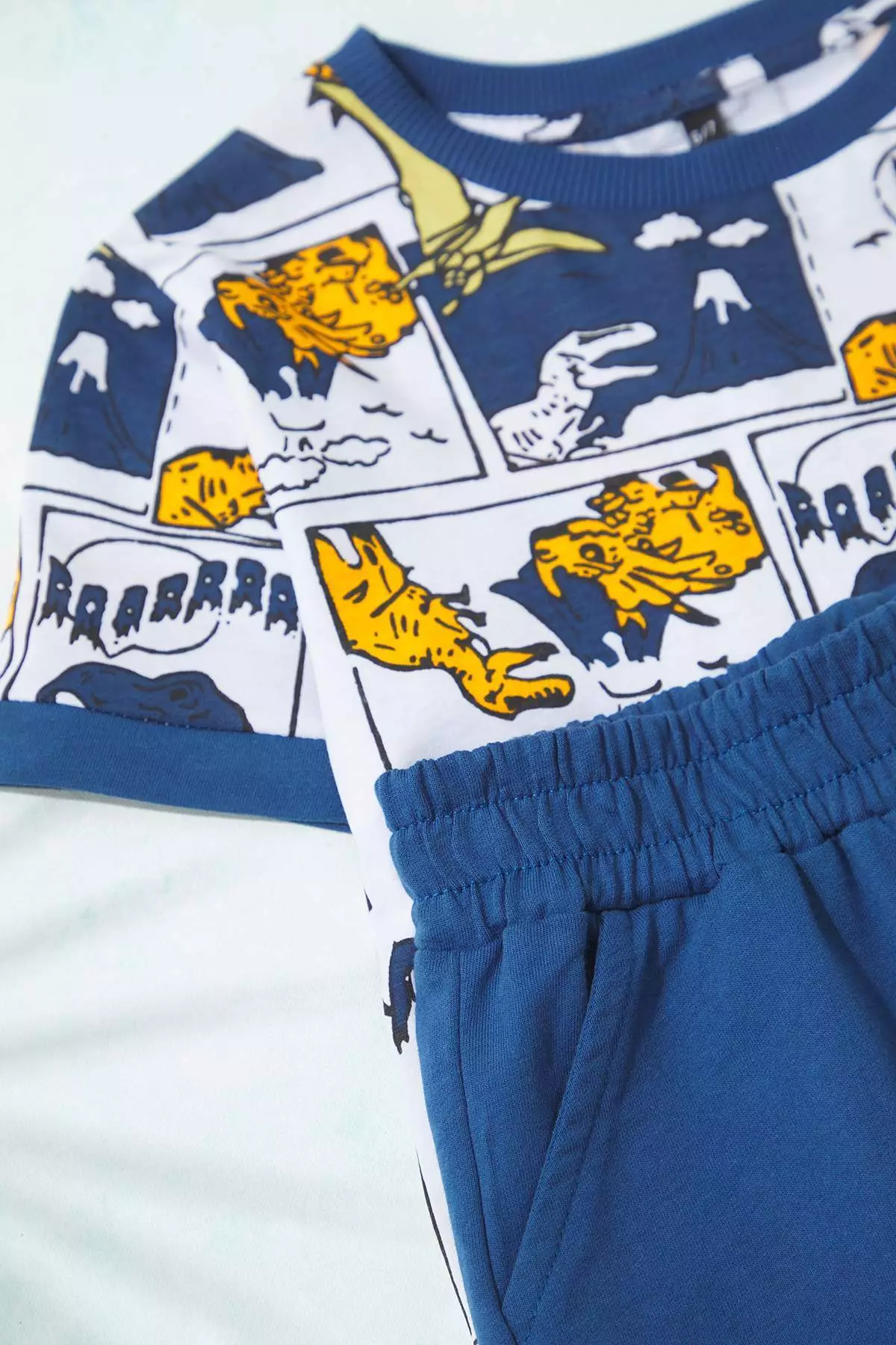 Indigo Boy's Animal Printed Short Sleeve Knitted Bottom-Top Suit Tkdss24Au00027