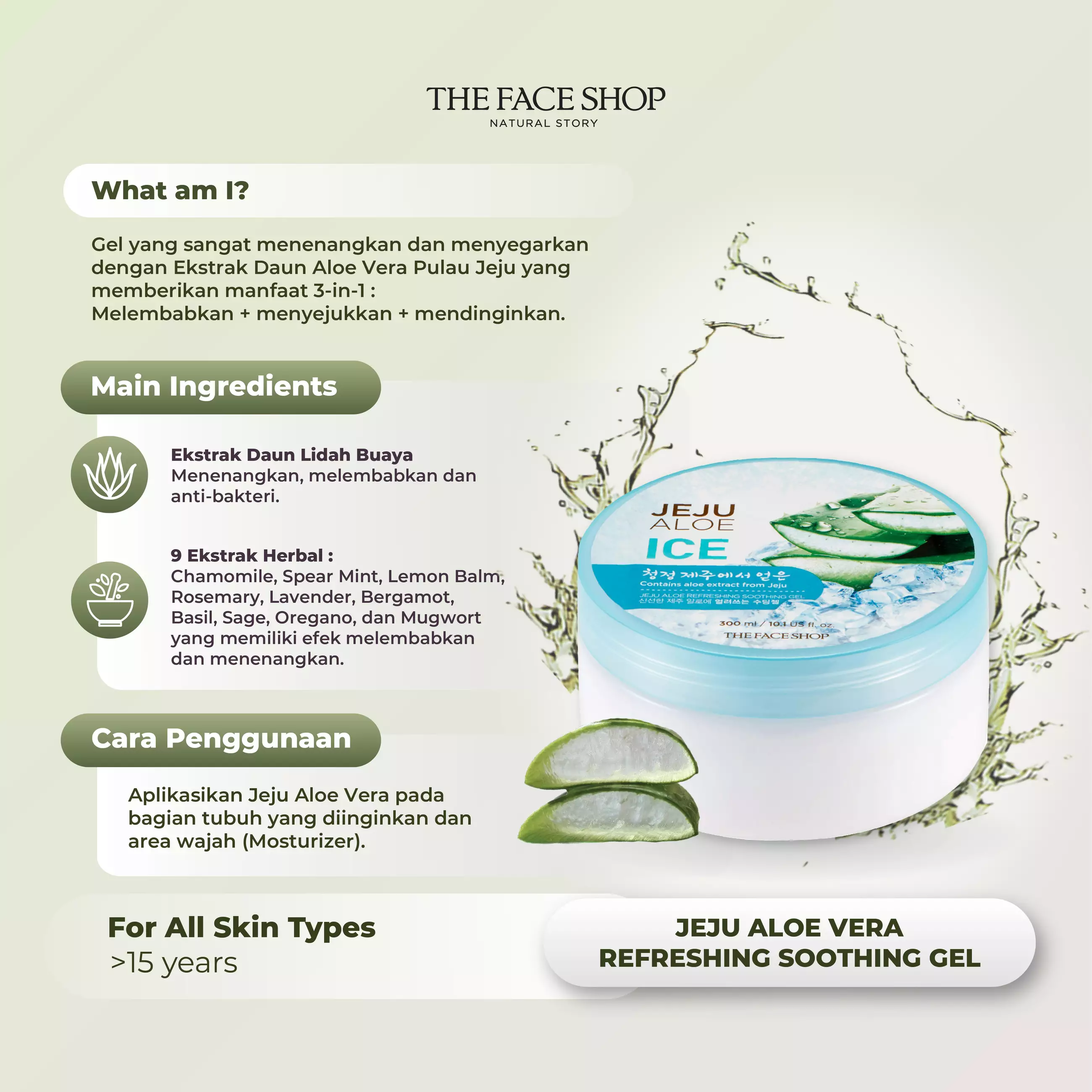 Jual THE FACE SHOP Jeju Aloe Vera Mix Set Original 2024 ZALORA