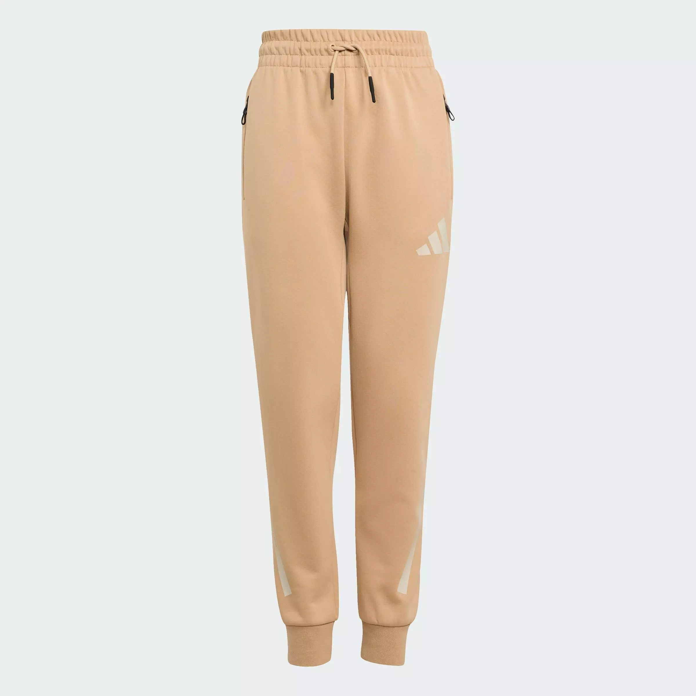 Lifestyle Z.N.E. Tapered-Leg Pants Unisex Brown JW4002