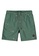 Shiwi green Boys Printed Swim Shorts 8C91BKAB58DB9DGS_1