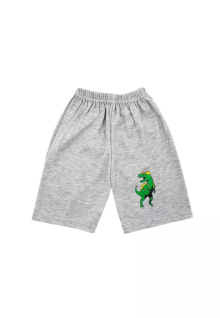 Skabe Pakaian Bayi Anak Laki Laki Baju Atasan Oblong Lengan Pendek Motif Dinosaurus Setelan Kaos Warna Tua All Size Usia 12 Bulan Hingga 18 Bulan 3149 Waka Kids Wakakids