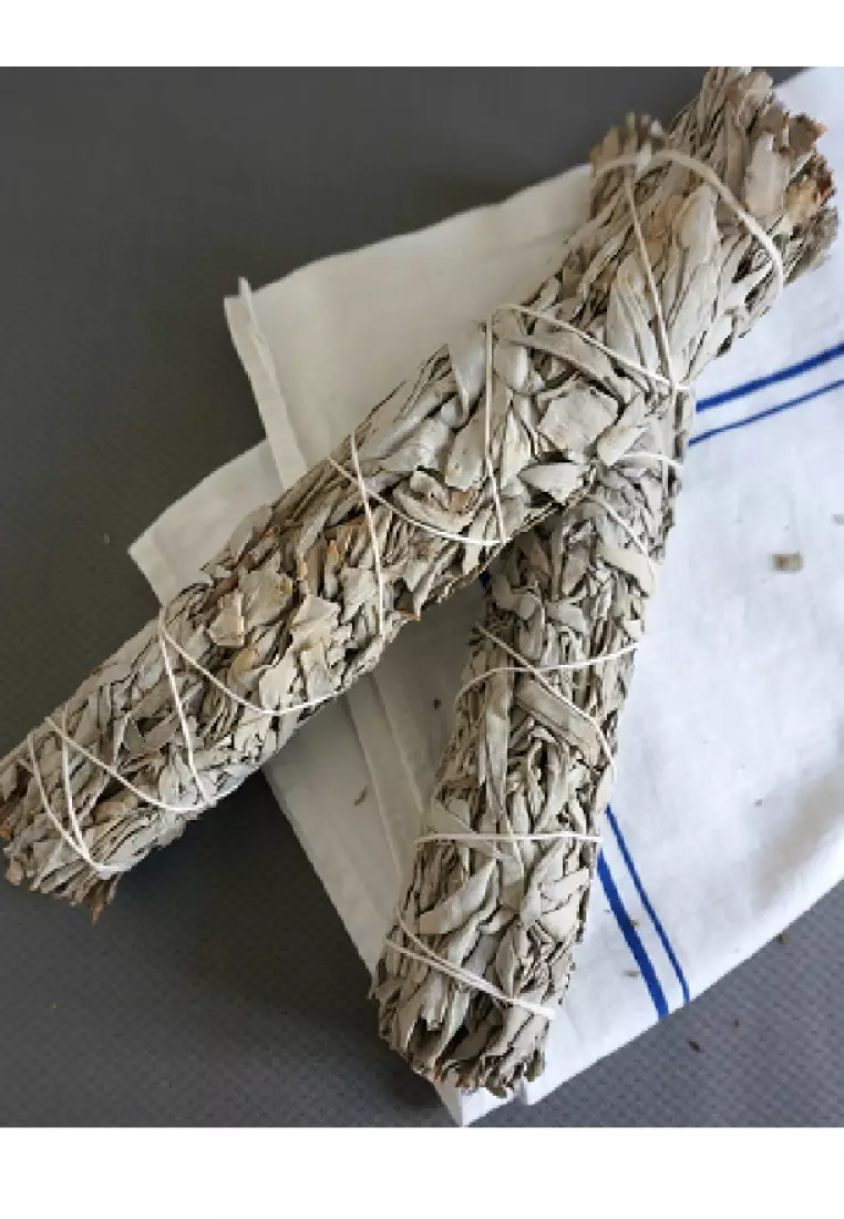 Buy diseno diseno Living California White Sage Bundles 9" (Large