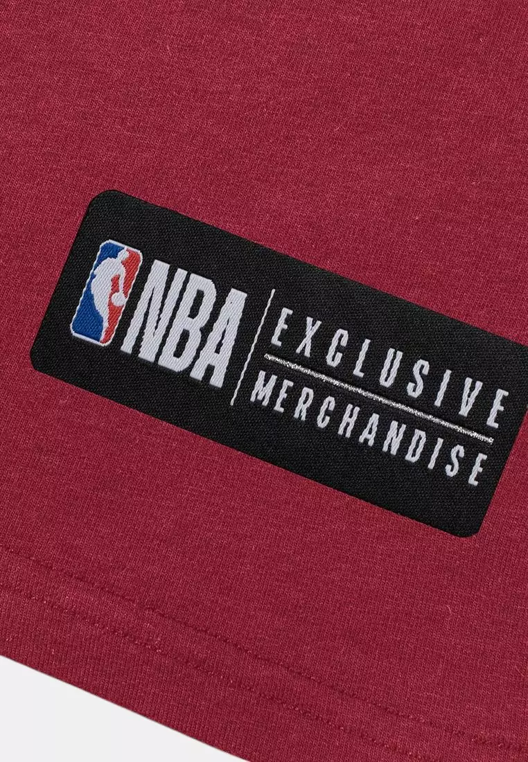 Miami Heat T-Shirts For Men Dribble Collection