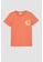 DeFacto orange Short Sleeve Cotton T-Shirt 2122AKA2D57292GS_1