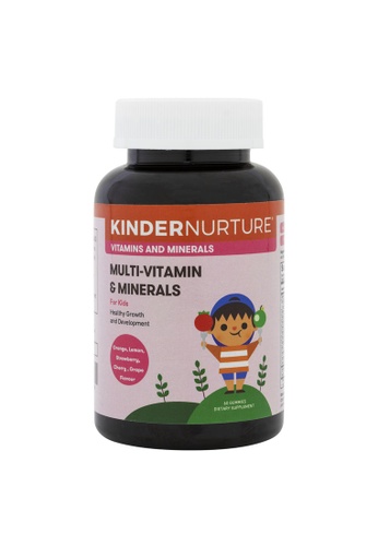 KinderNurture KinderNurture Children's Multi-Vitamin & Minerals, 60 gummies 27C35ES0B65ABDGS_1