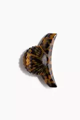 Brown Dark