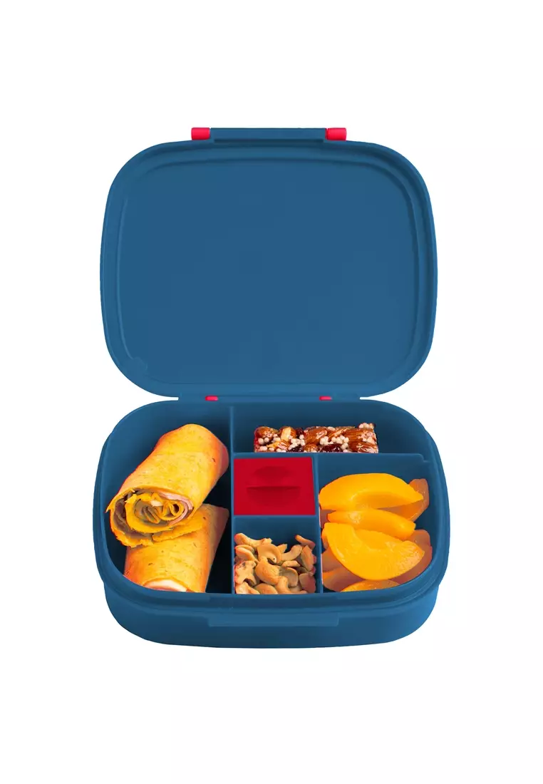 New Bento Box with Removable Tray Transportation