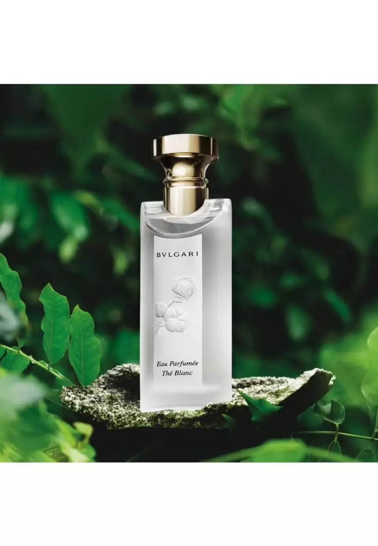 Buy Bvlgari Fragrances Bvlgari - Eau Parfumee The Blanc Eau De