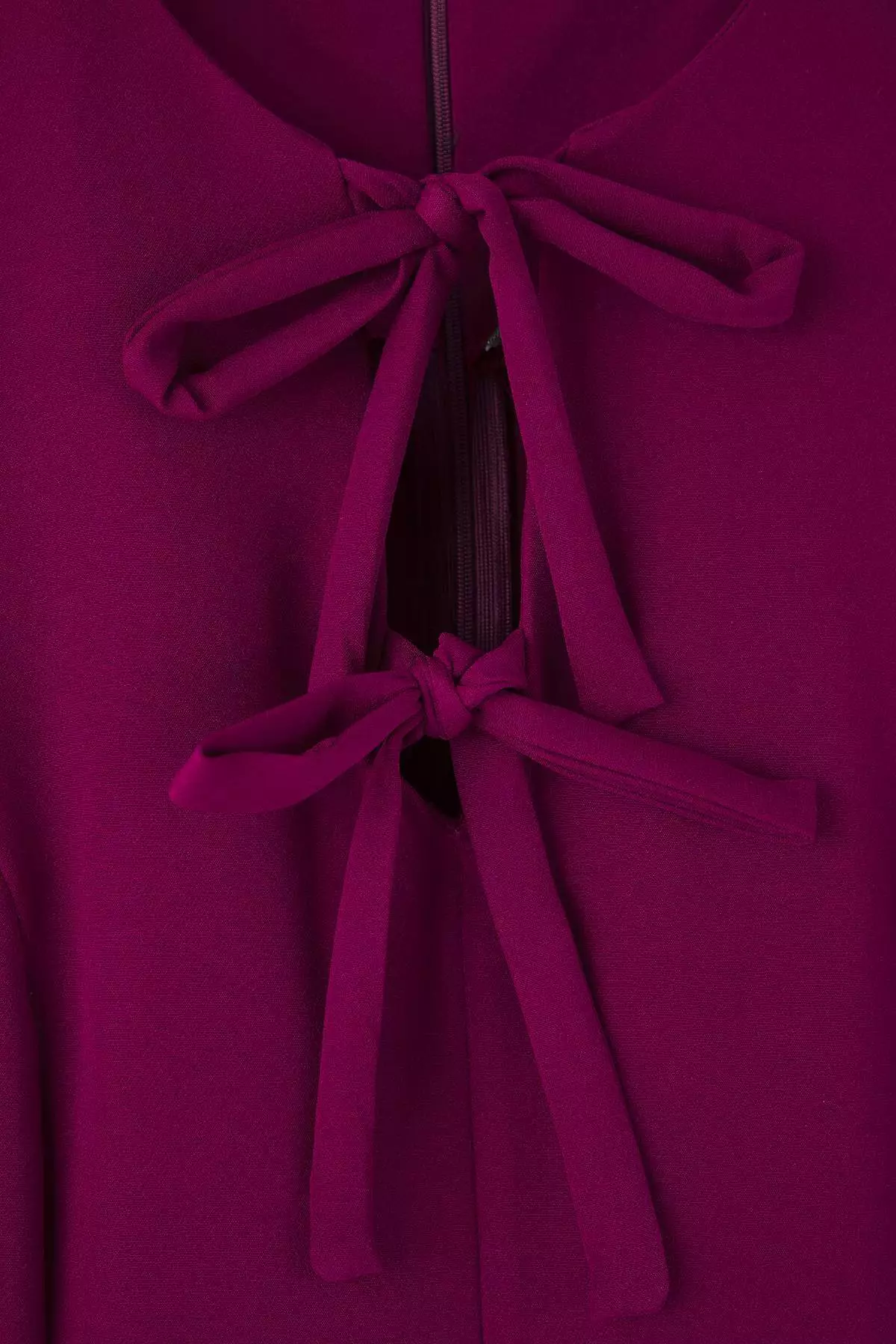 Plum Bow A-Line/Waist Open Mini Woven Plus Size Dress