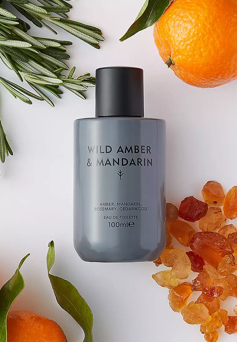 Discover Intense Wild Amber & Mandarin Eau de Toilette 100ml - Febuary 2027