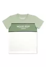 Frosty Green, Oil Green and White