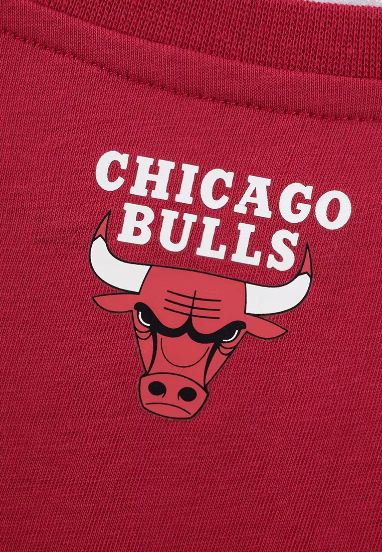 Team Logo Print Chicago Bulls Regular Fit Womens T-Shirt