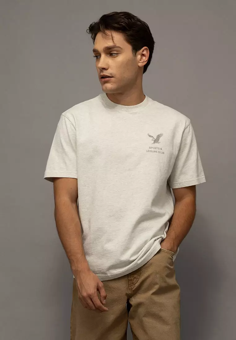 Buy American Eagle Standard Fit Graphic T-Shirt 2026 Online | ZALORA