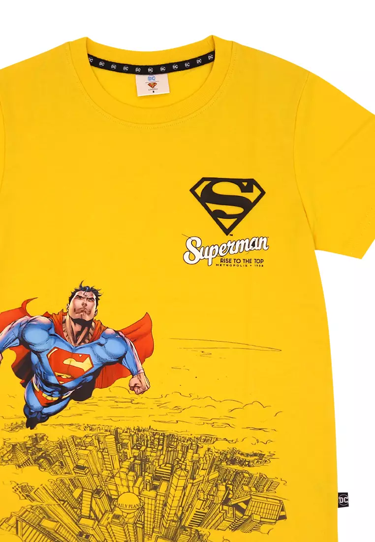 Boys Licensed Graphic T-Shirt Metropolis