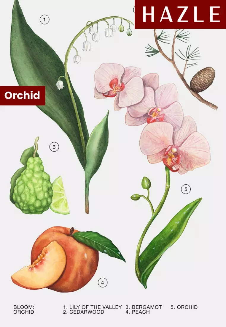 Zara Orchid Woman EDP + Zara Wonder Rose Woman EDT Set 90 ml