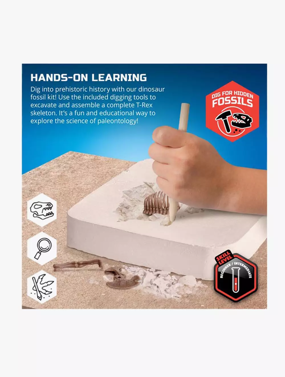 Discovery Mindblown Dinosaur Kit Skeleton 3D Puzzle - DCN1423004871 - Multicolor