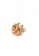 Tory Burch orange Roxanne Jeweled Stud Earring Stud earrings EC2CCAC70DC2B5GS_3