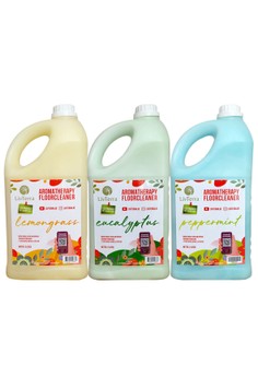 Jual Queen Bee Forest Honey Home & Lifestyle Original ...