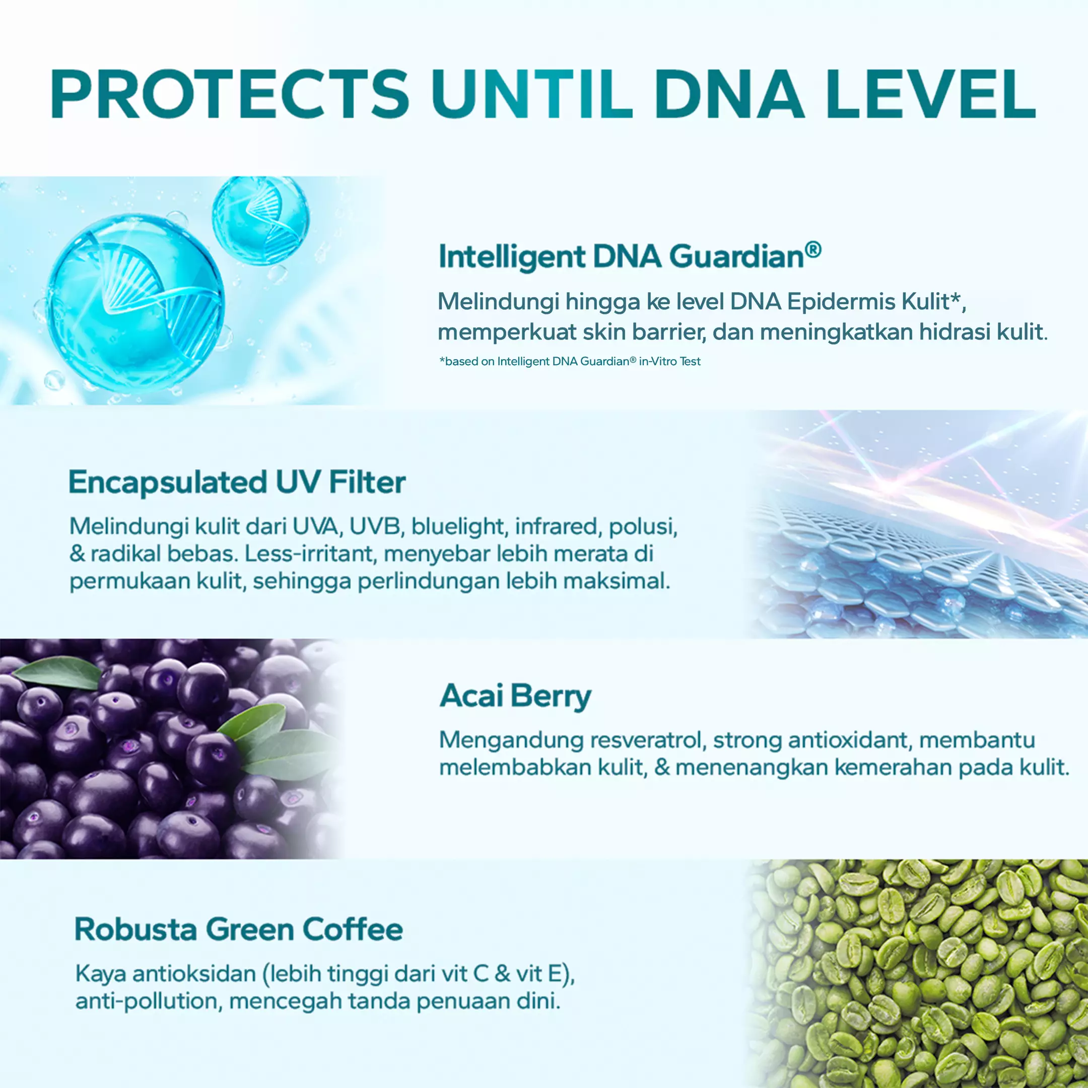 AMATERASUN [REAL SPF Certified] UV Body Sunscreen SPF 40 PA++