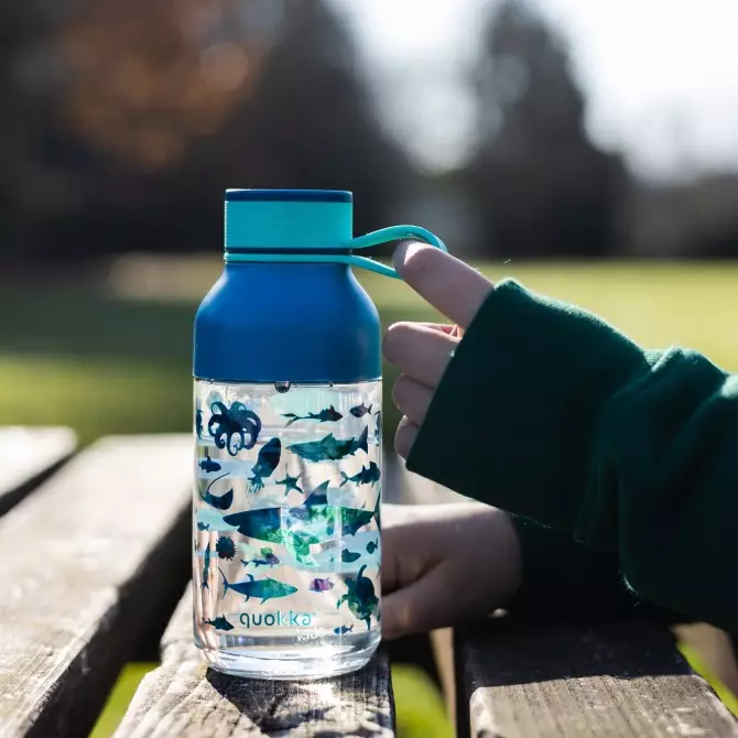 Bundling Set Quokka Sandwich Box & Quokka Ecozen Bottle Ice With Strap Sea Animals 430ml - Tempat Makan - Botol Minum Anak