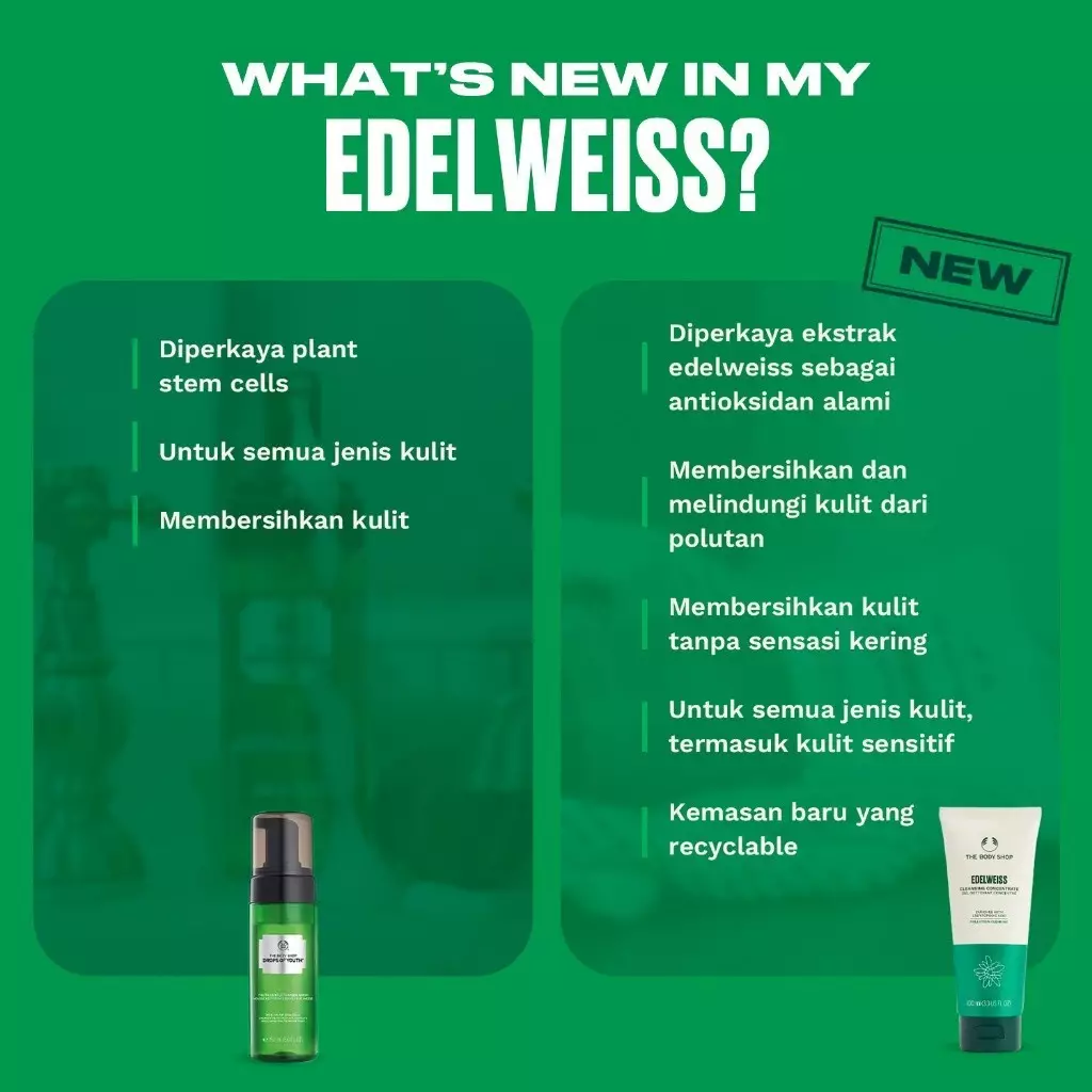 Edelweiss Cleansing Concentrate 100ml
