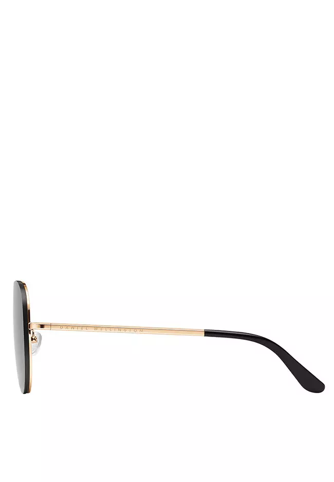 Steel Avion Rose gold Small Eastern Fit Sunglasses DW 墨鏡 - 太陽鏡 丹尼爾惠靈頓