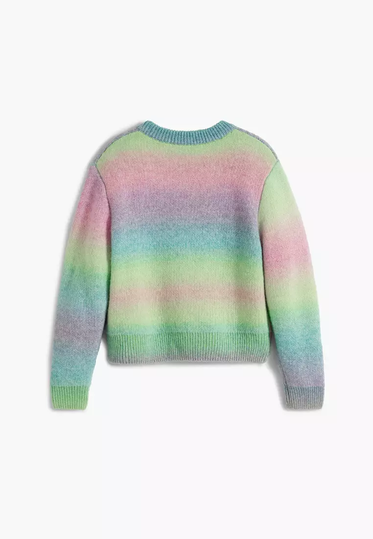 Rainbow cat sweater