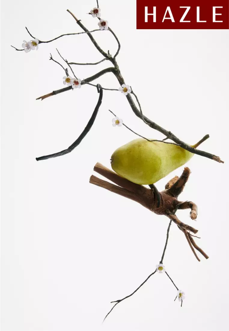 Zara Hypnotic Vanilla Bloom Woman EDP 30 ml