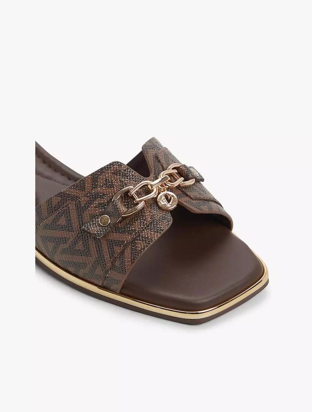 Aldo Alamassi Women's Flat Sandals - Brown Multi